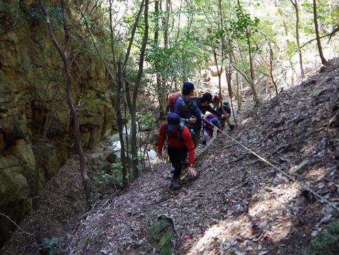 IMGP2853_20130415174459.jpg