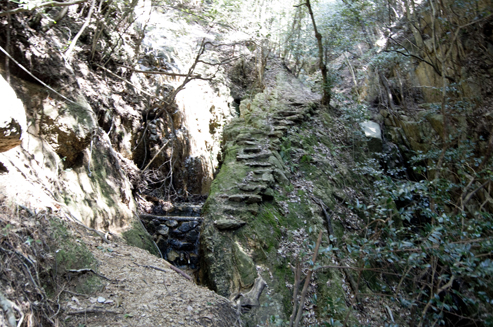 IMGP2854.jpg