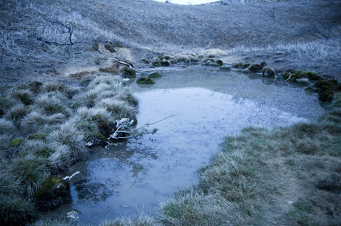 IMGP3195.jpg