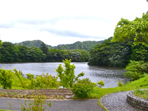 IMGP3302_20120614161442.jpg