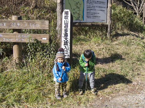 IMGP3307.jpg
