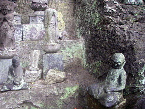IMGP3348.jpg