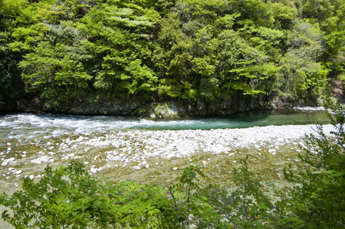 IMGP3450_20130501161432.jpg