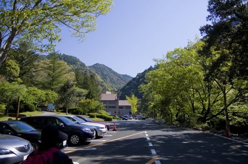 IMGP3531.jpg