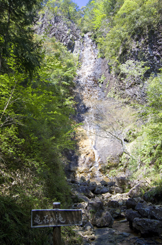IMGP3584.jpg