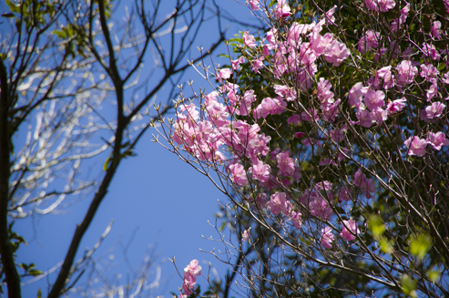 IMGP3643.jpg