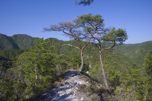 IMGP3738.jpg