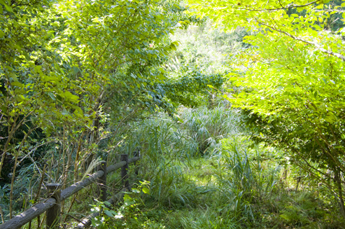 IMGP3846.jpg