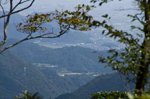 IMGP3873.jpg