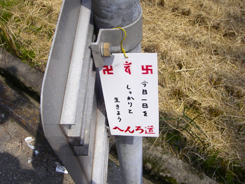 IMGP3879.jpg