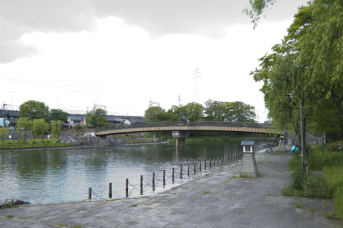 IMGP3927.jpg