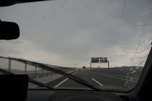 IMGP3946.jpg