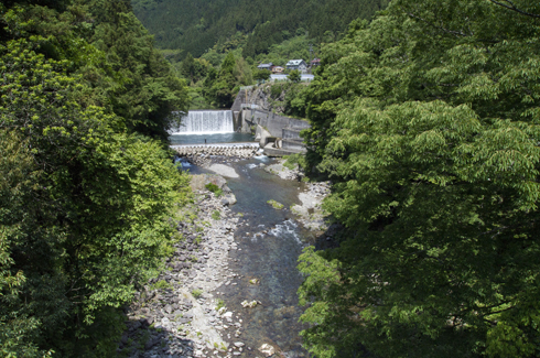 IMGP3972.jpg