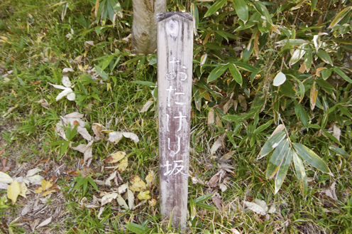 IMGP4351.jpg