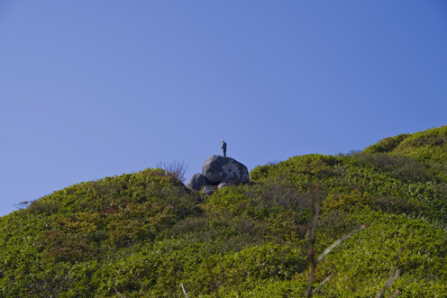 IMGP4414.jpg