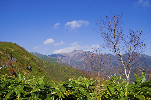 IMGP4415.jpg