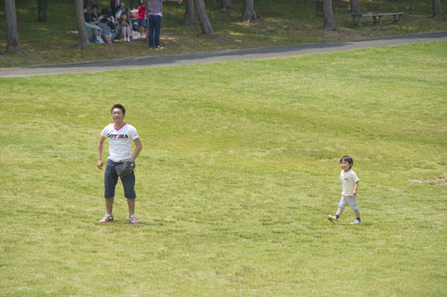 IMGP4422_20130606152014.jpg