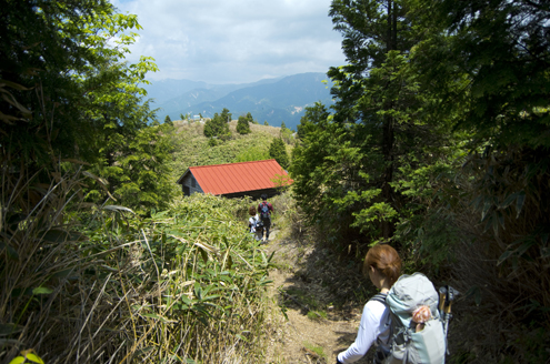 IMGP4676_20130621131436.jpg
