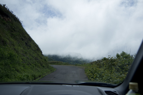IMGP4732_20130625112145.jpg