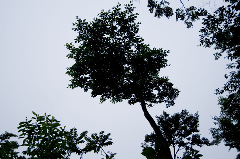 IMGP4764_20130625112504.jpg