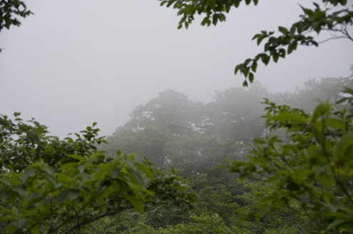 IMGP4767_20130625112524.jpg