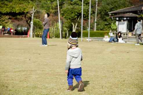IMGP4934.jpg