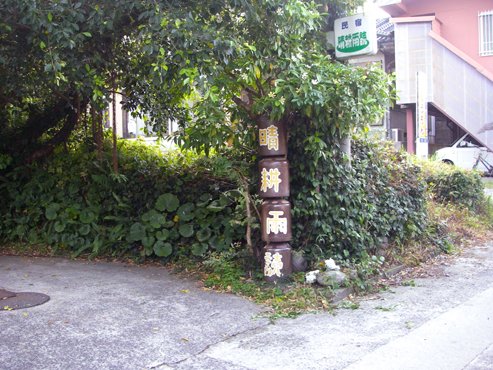 IMGP5101.jpg