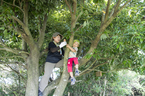 IMGP5124_20140805095702c4c.jpg