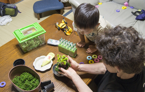 IMGP5151.jpg