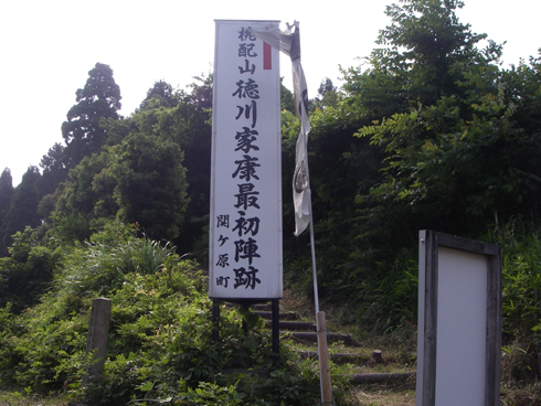IMGP5242.jpg