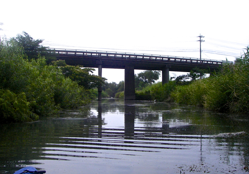 IMGP5280.jpg