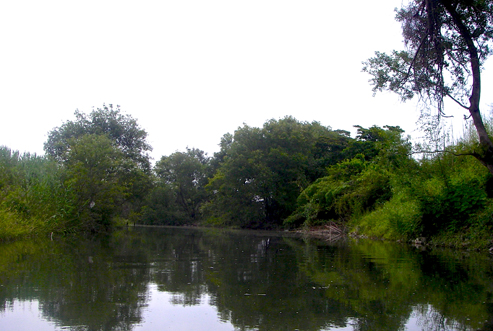IMGP5281.jpg