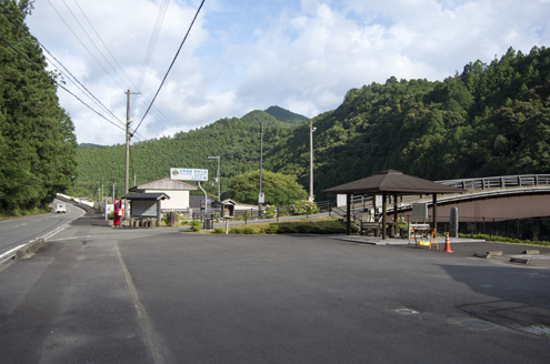 IMGP5831.jpg