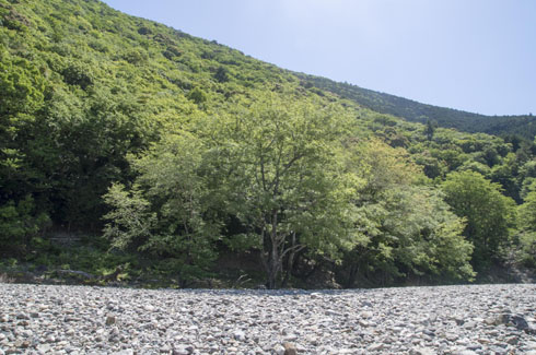 IMGP5935.jpg