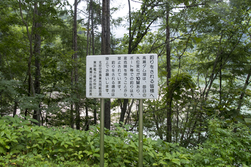 IMGP5995.jpg