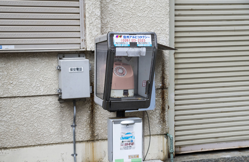 IMGP6004.jpg
