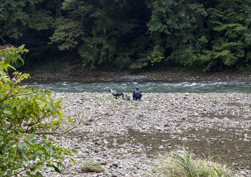 IMGP6013_2014092516224102b.jpg