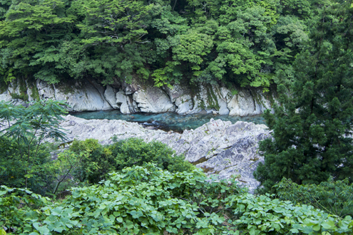 IMGP6160.jpg