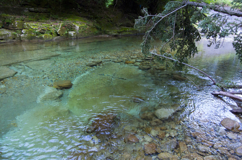 IMGP6438_20130801103900c28.jpg