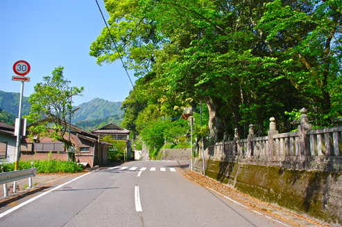 IMGP7272.jpg