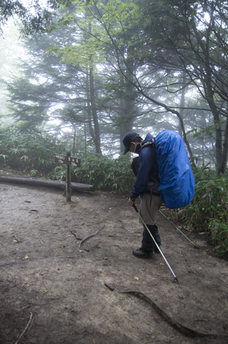 IMGP7325_201309280232429e1.jpg