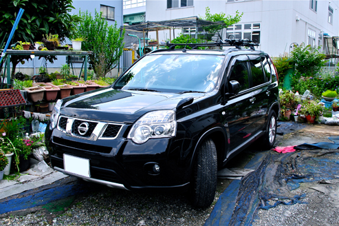 IMGP7627.jpg