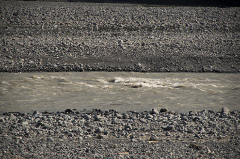 IMGP7878.jpg
