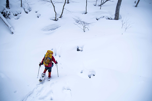 IMGP7982_20150205145609e61.jpg