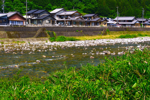 IMGP8355.jpg