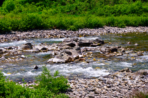 IMGP8364.jpg