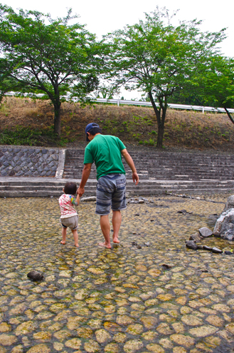 IMGP8377_20120607142454.jpg