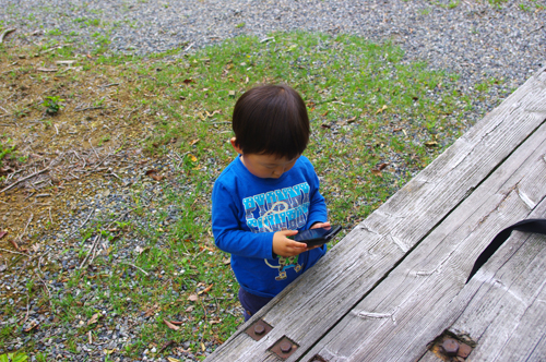 IMGP8750.jpg