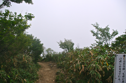 IMGP8794.jpg