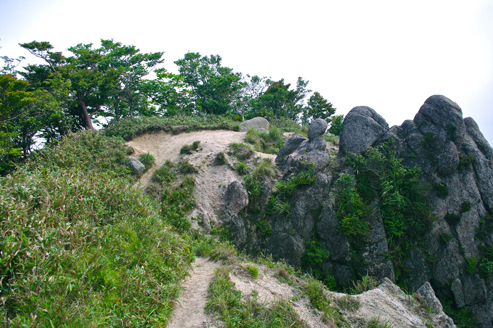 IMGP8811.jpg